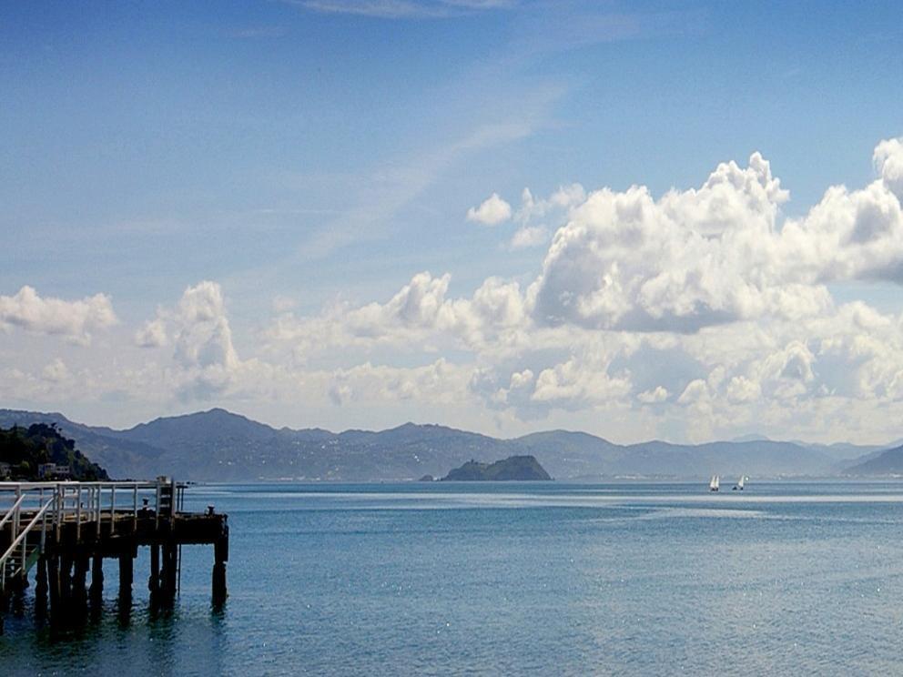 Beachfront Wellington Bed And Breakfast Экстерьер фото