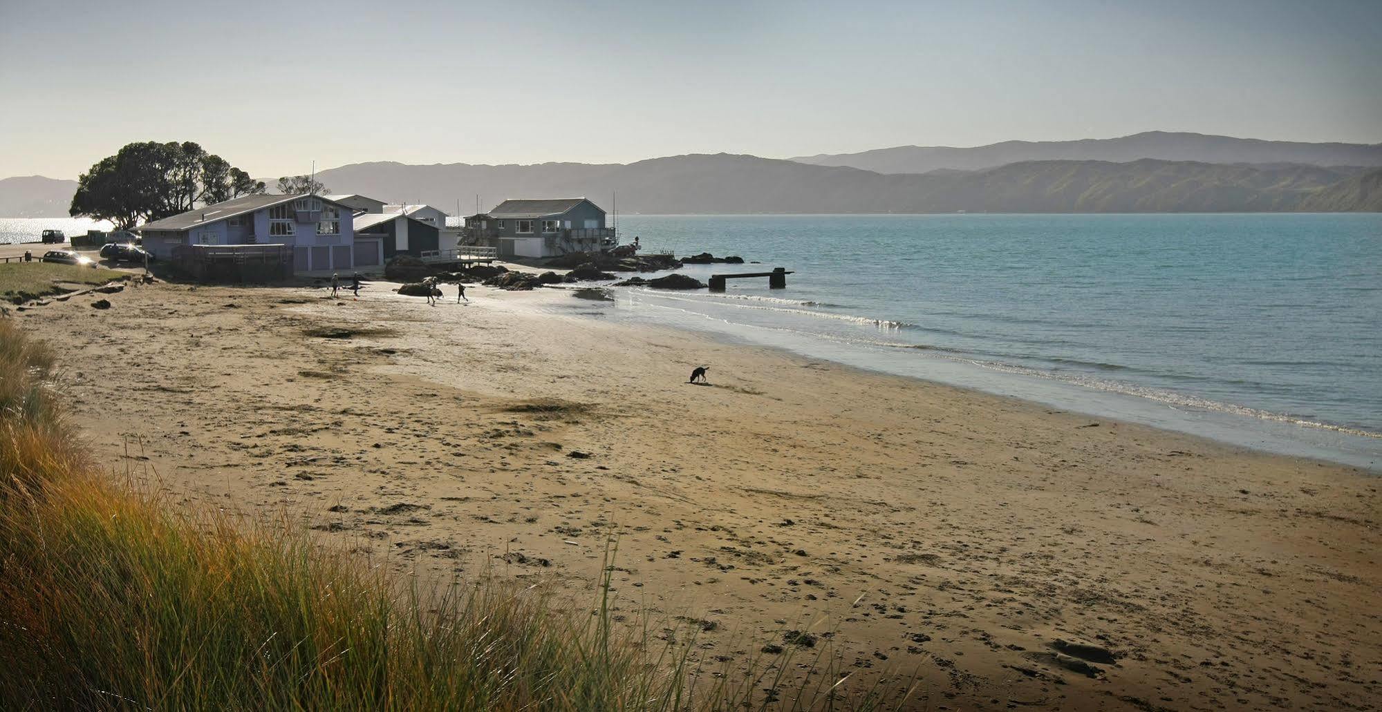 Beachfront Wellington Bed And Breakfast Экстерьер фото